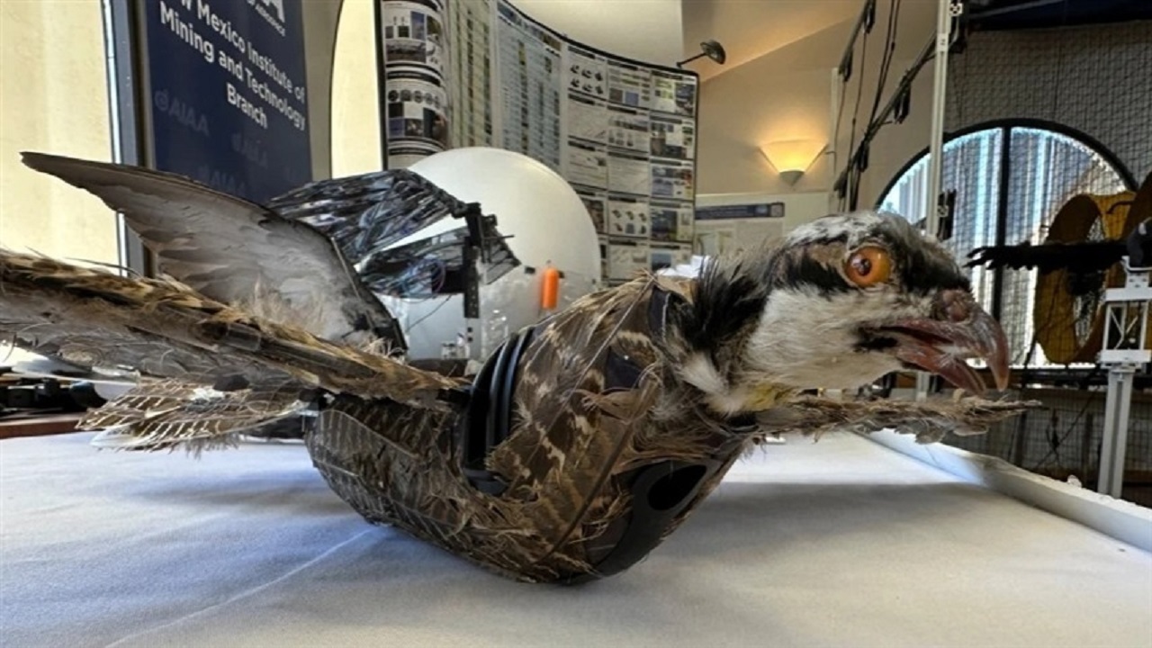 تبدیل پرندگان مرده به هواپیما‌های بدون سرنشین!