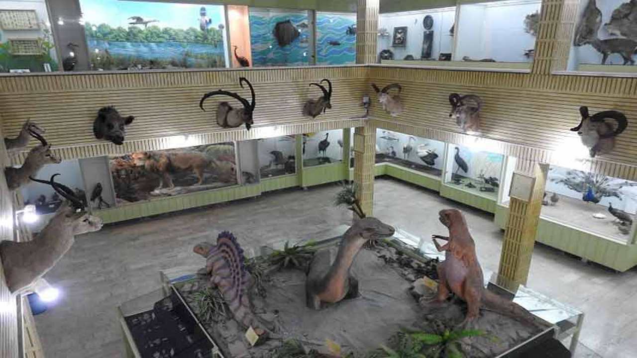 بازدید رایگان از موزه تاریخ طبیعی و تنوع زیستی ایلام در ایام نوروز
