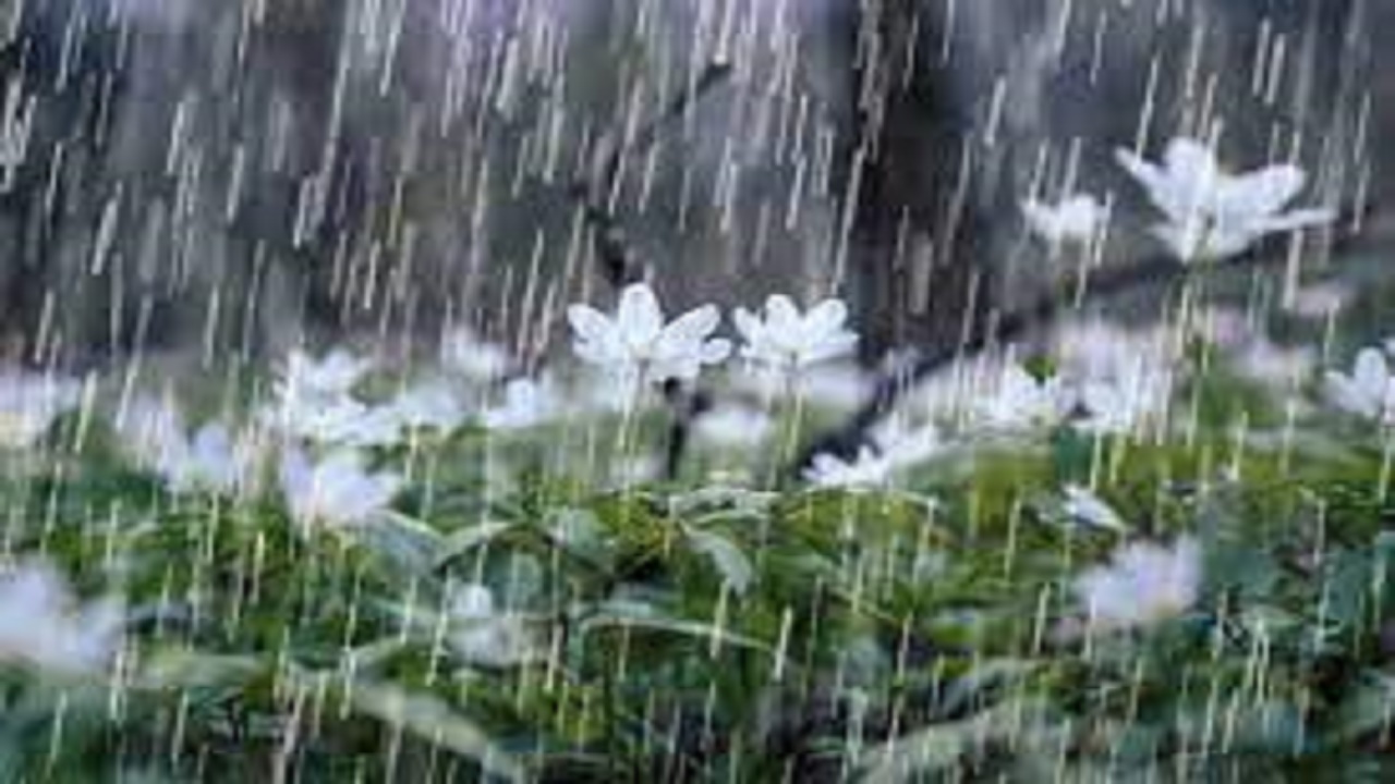 دیشموک پرباران ترین نقطه کهگیلویه و بویراحمد در بارش های اخیر