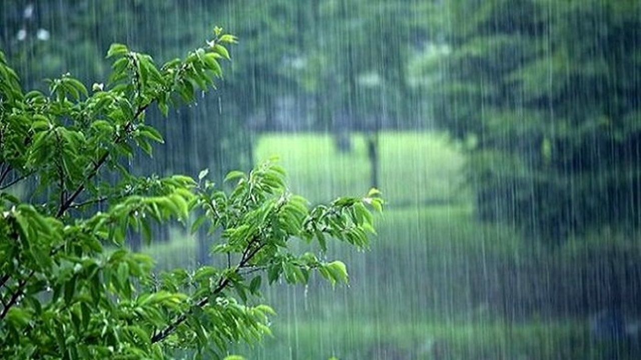افزایش ۱۰۶ درصدی بارندگی در استان ایلام