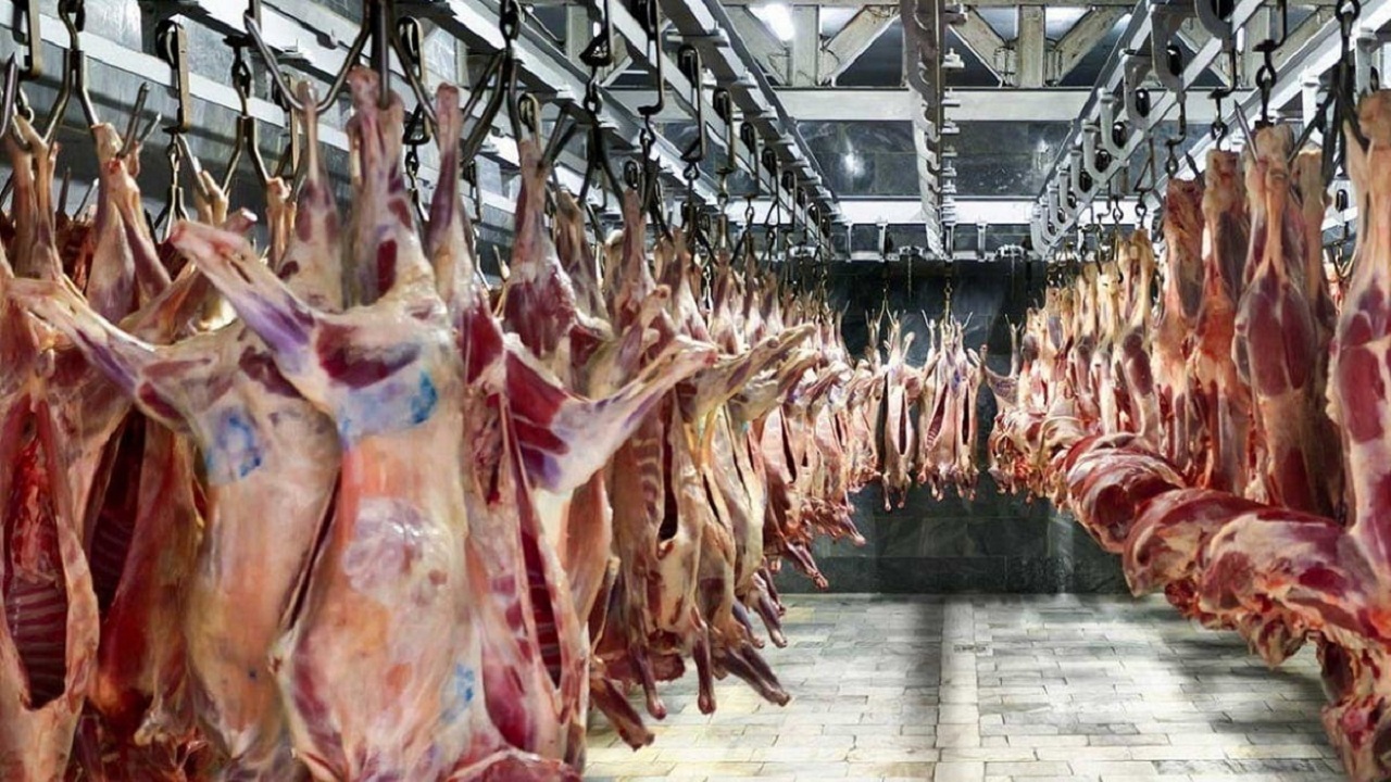 توزیع ۷۳هزار کیلوگرم گوشت مرغ و قرمز در آذربایجان غربی