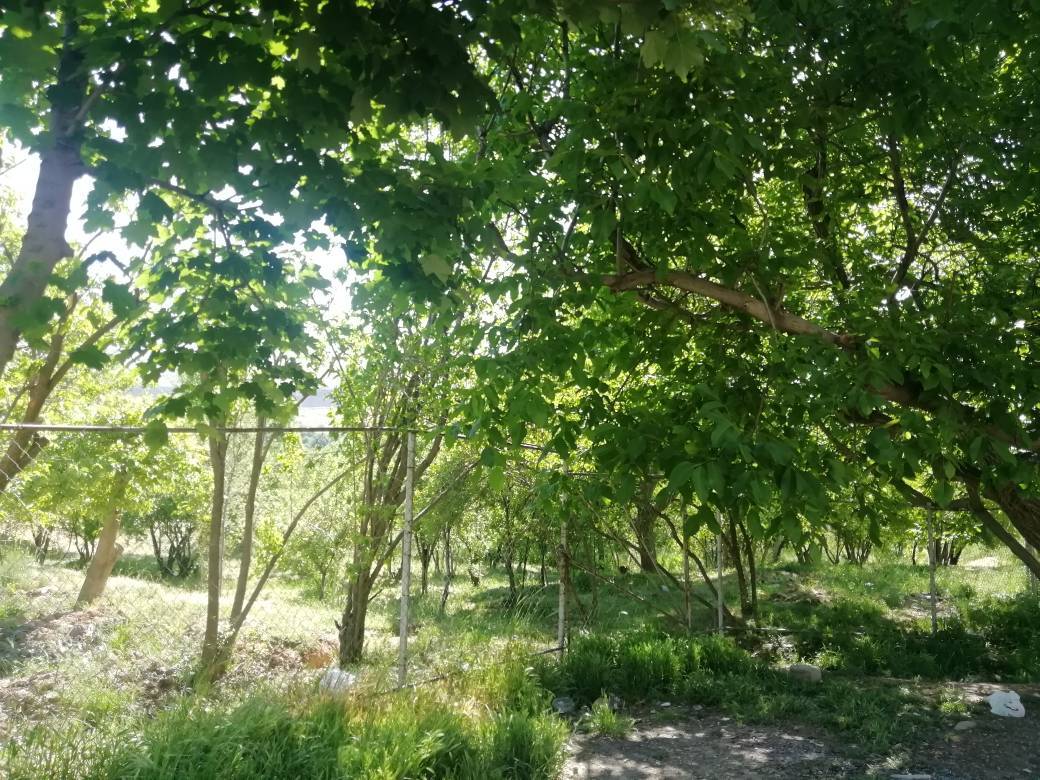 طبیعت شیراز