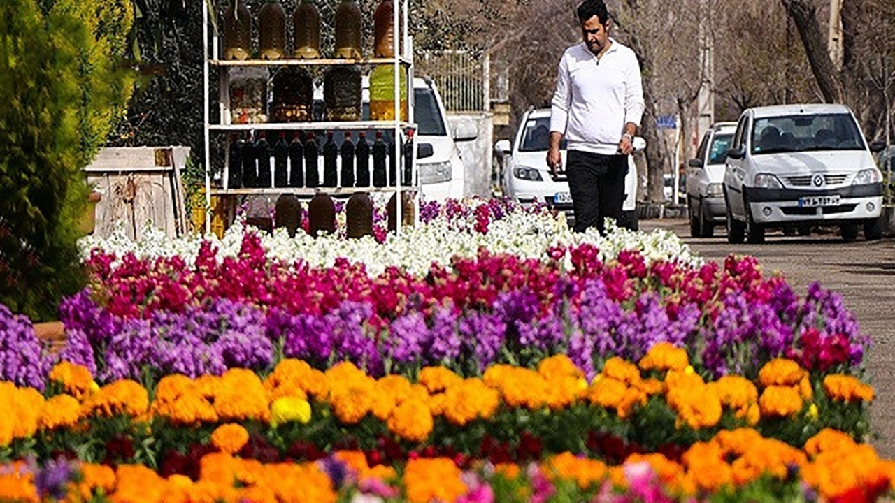 رونق گل فروشی‌ها در شیراز + فیلم