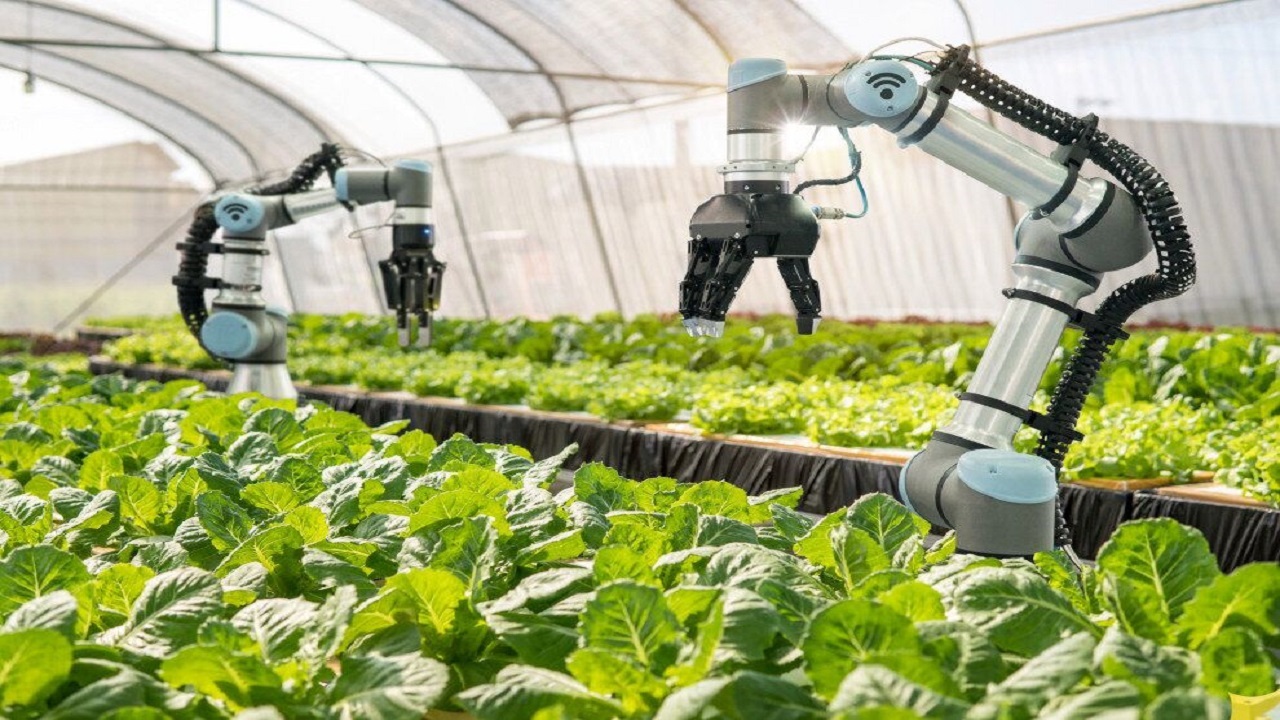 ربات‌های هوشمند به کشاورزان کمک می‌کنند