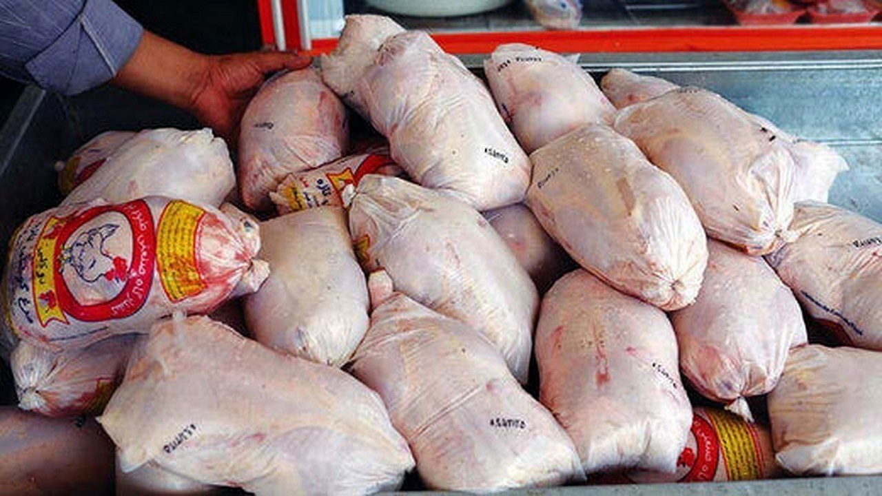 توزیع روزانه ۷۰۰ تن مرغ گرم و منجمد