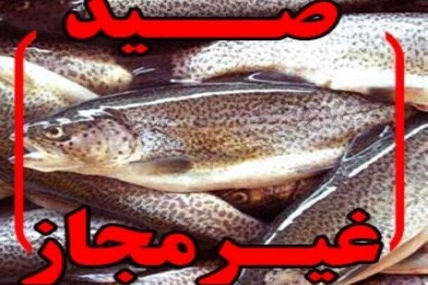 دستگیری متخلف صید غیر مجاز ماهی در دهلران