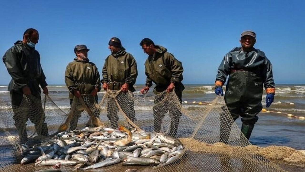دریای خزر برای ماهیگیران سنگ تمام گذاشت