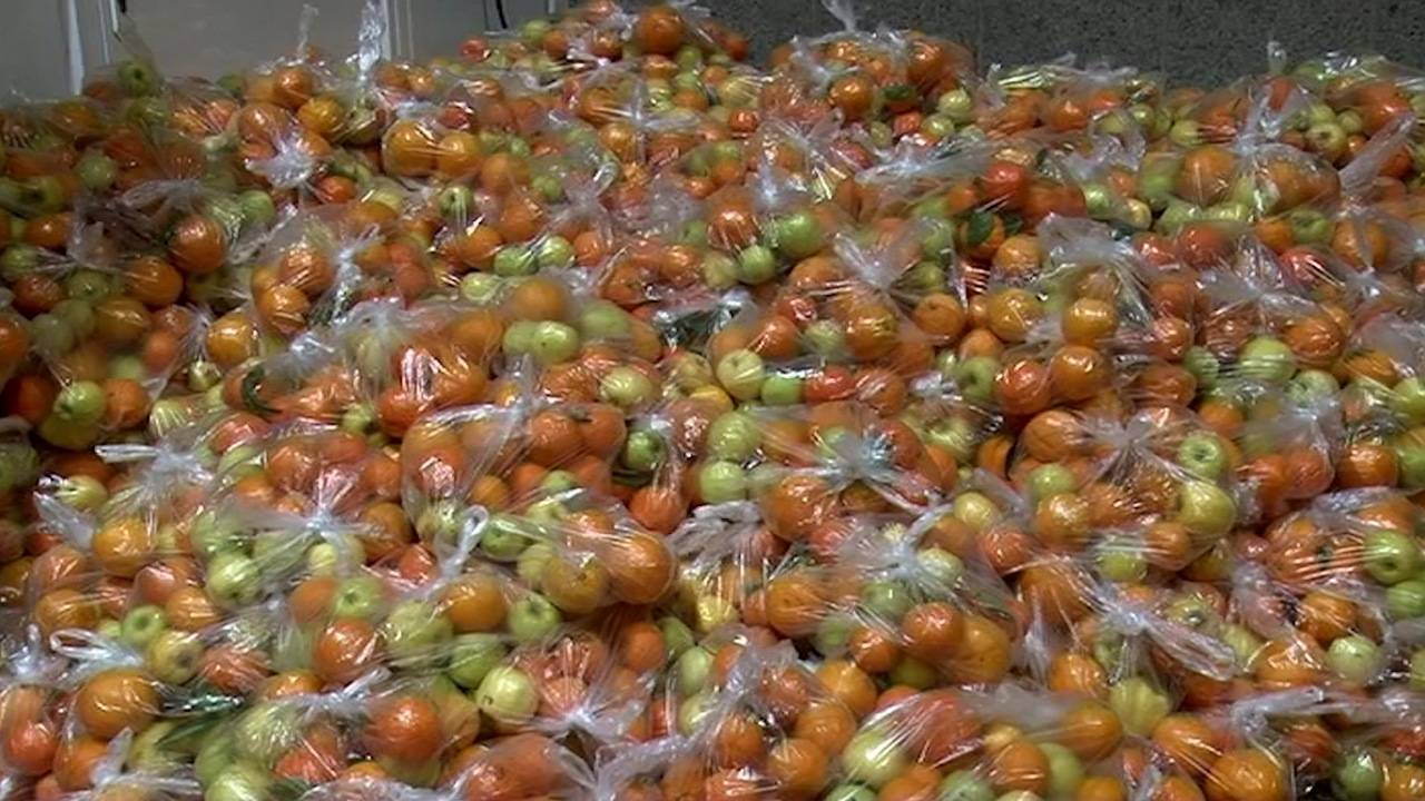 توزیع بیش از ۷۰۰ بسته میوه بین نیازمندان و ایتام عنبرآبادی