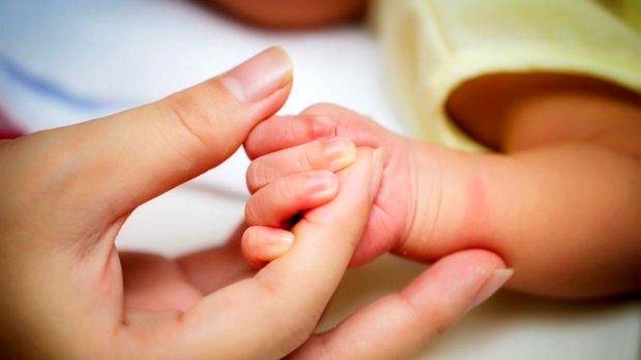 صدور گواهی ثبت ولادت و وفات الکترونیکی می‌شود/تولد بیش از ۴۲ هزار نوزاد از ابتدای امسال