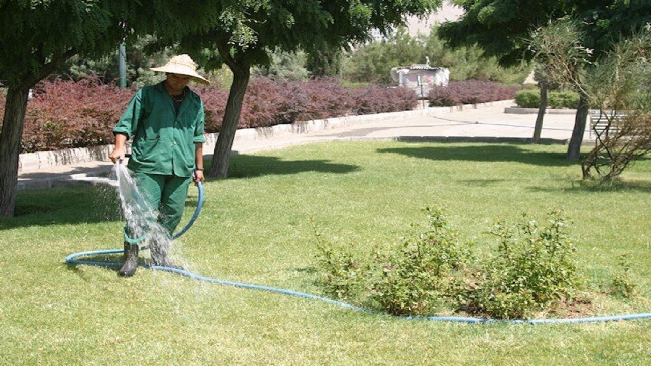 آبیاری فضای سبز شهر بوشهر مکانیزه می‌شود