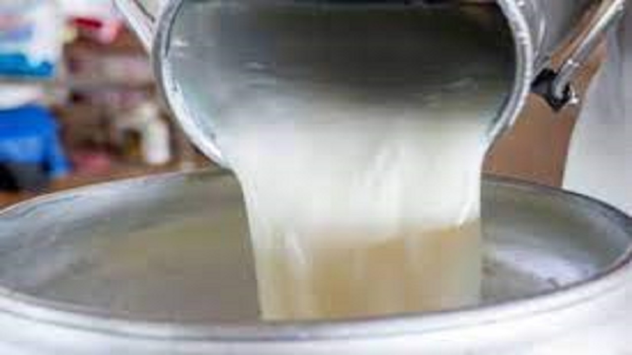 تولید سالانه بیش از ۲۰ هزار تن شیر در شهرستان نیر