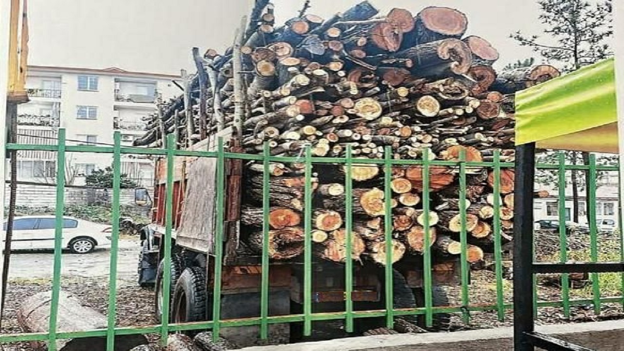 توقیف کامیون حامل چوب قاچاق در رضوانشهر