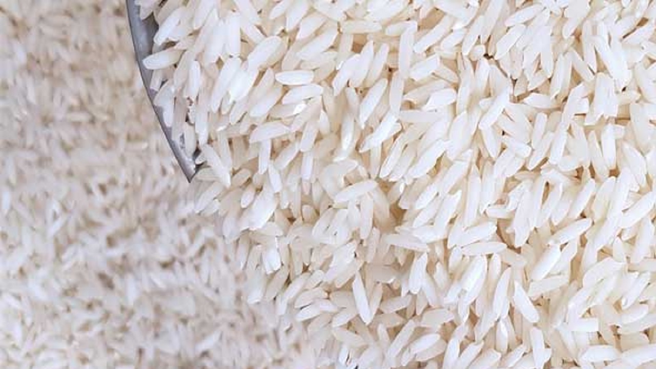 برنج در گلستان ارزان‌تر از پارسال