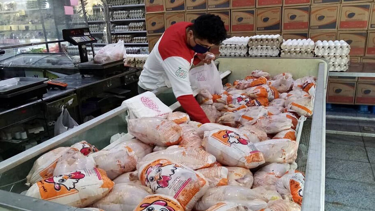 ممنوعیت توزیع مرغ منجمد در آذربایجان غربی