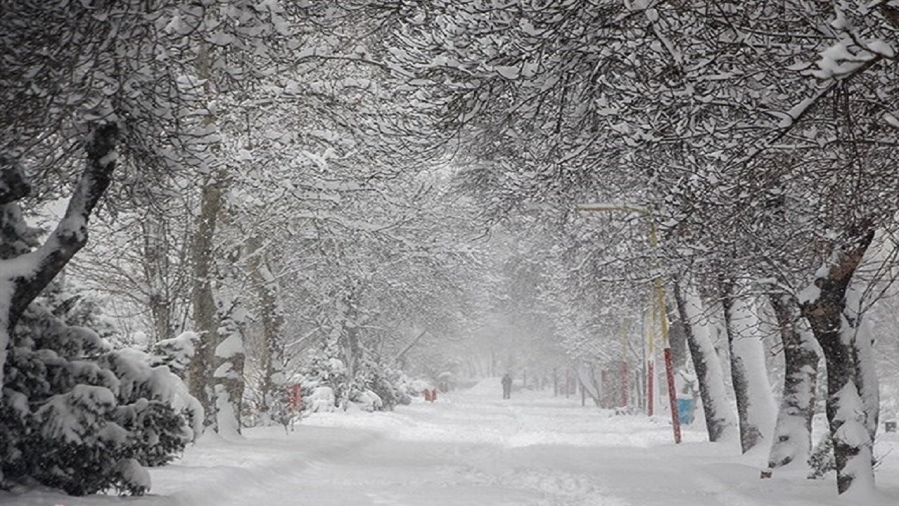 جلوه گری فصل زمستان در روستای دولت آباد نمین + فیلم