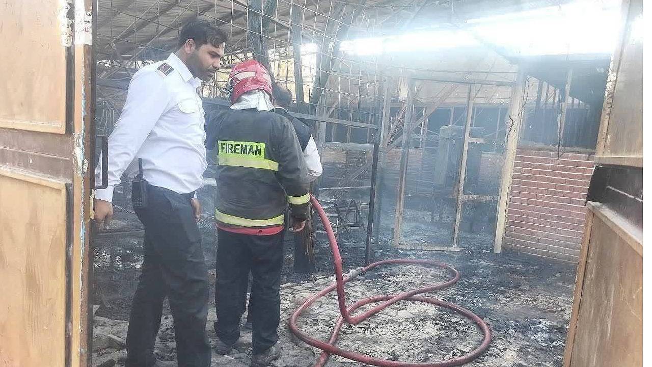 نجات ۲ مصدوم در حوادث و مهار یک آتش‌سوزی در محور «هفت باغ‌علوی» کرمان