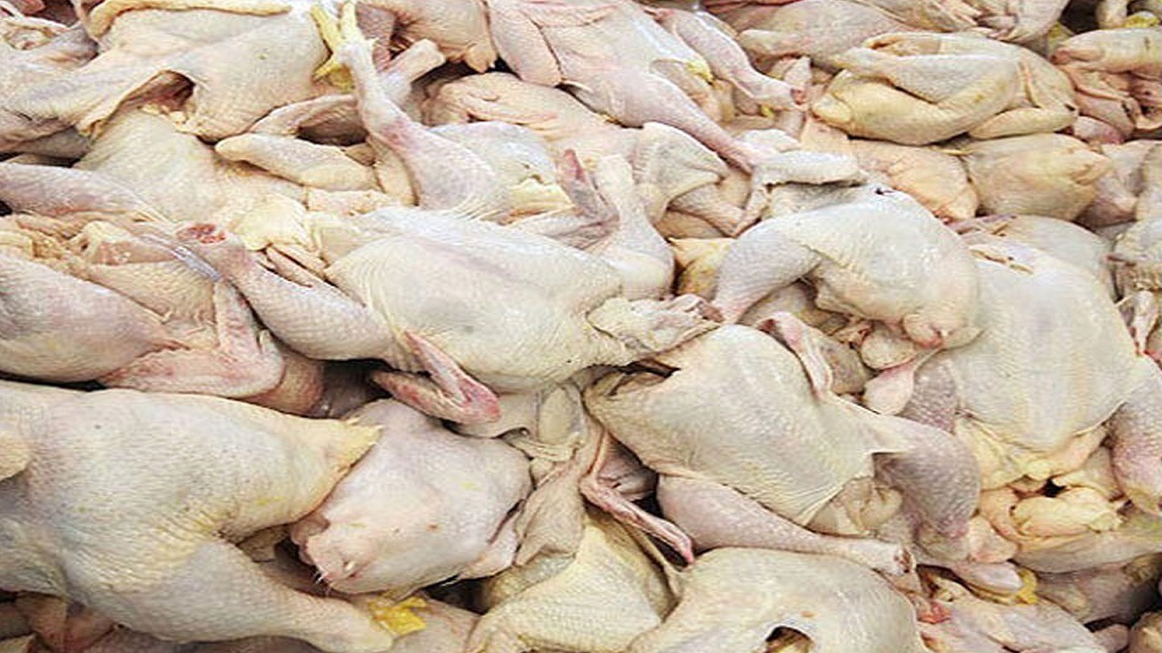 کشف هزار کیلوگرم گوشت مرغ خارج از شبکه در خراسان‌شمالی