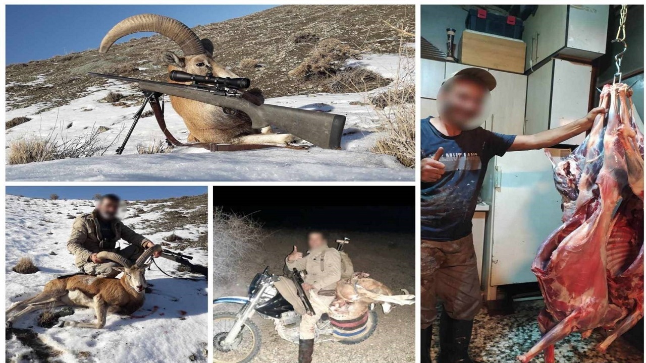 سردسته شکارچیان غیرمجاز استان تهران دستگیر شد