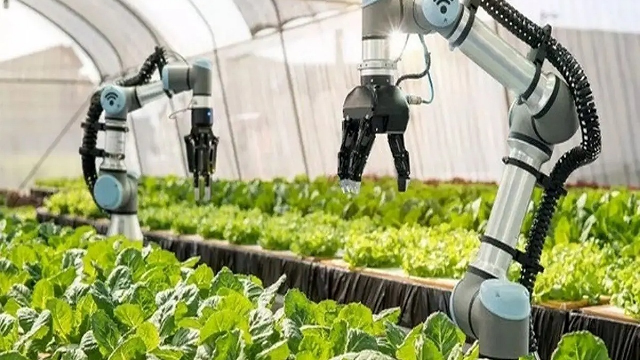 سرعت عمل باورنکردنی یک ربات در کشاورزی + فیلم