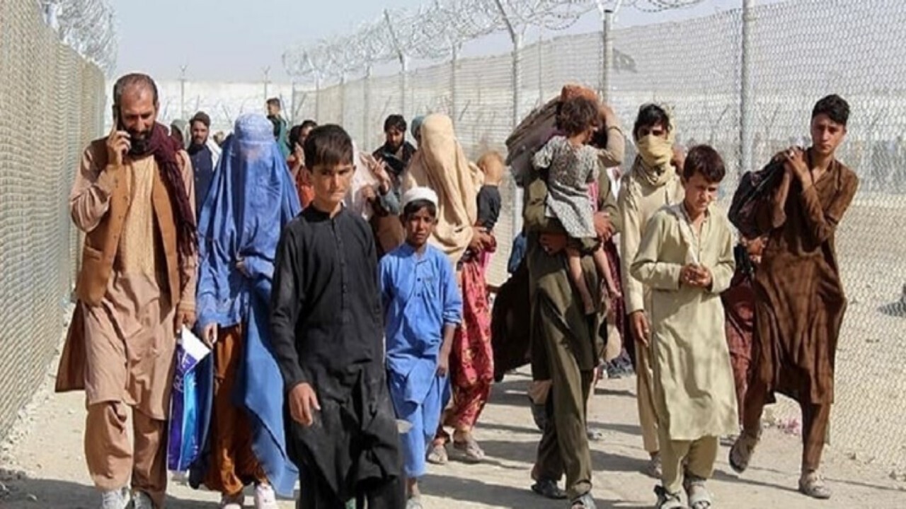 اخراج بیش از ۲ هزار پناهجوی افغانستانی از پاکستان