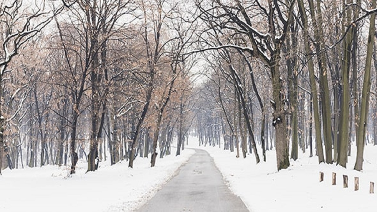 جلوه گری طبیعت سفید پوش و زمستانی جاده تکاب به شاهین دژ + فیلم