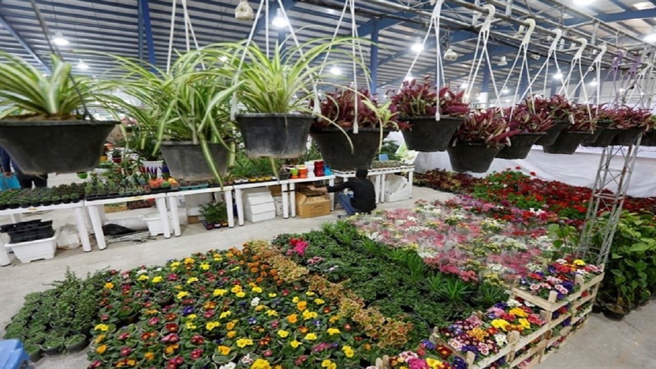 جشنواره و نمایشگاه گل و گیاه در چابهار برگزار شد