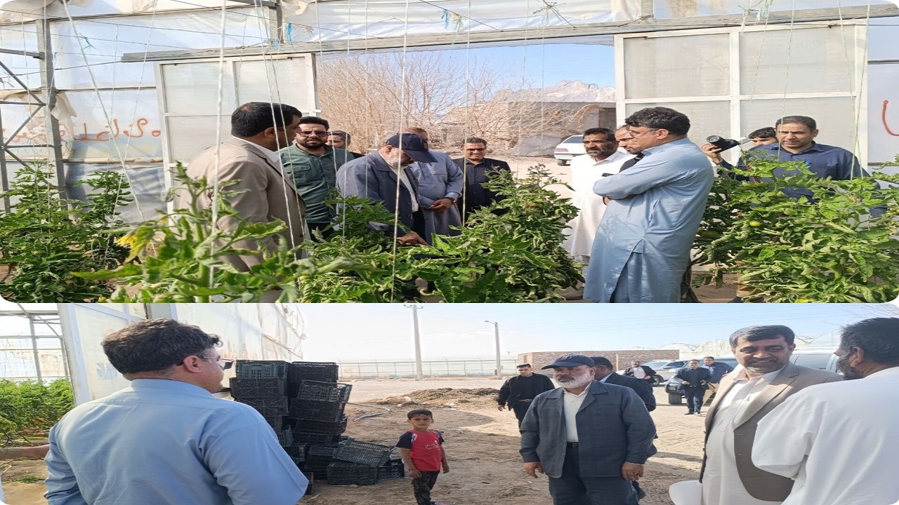 ۱۰ هکتار گلخانه جدید در شهرستان خاش در دست ساخت است