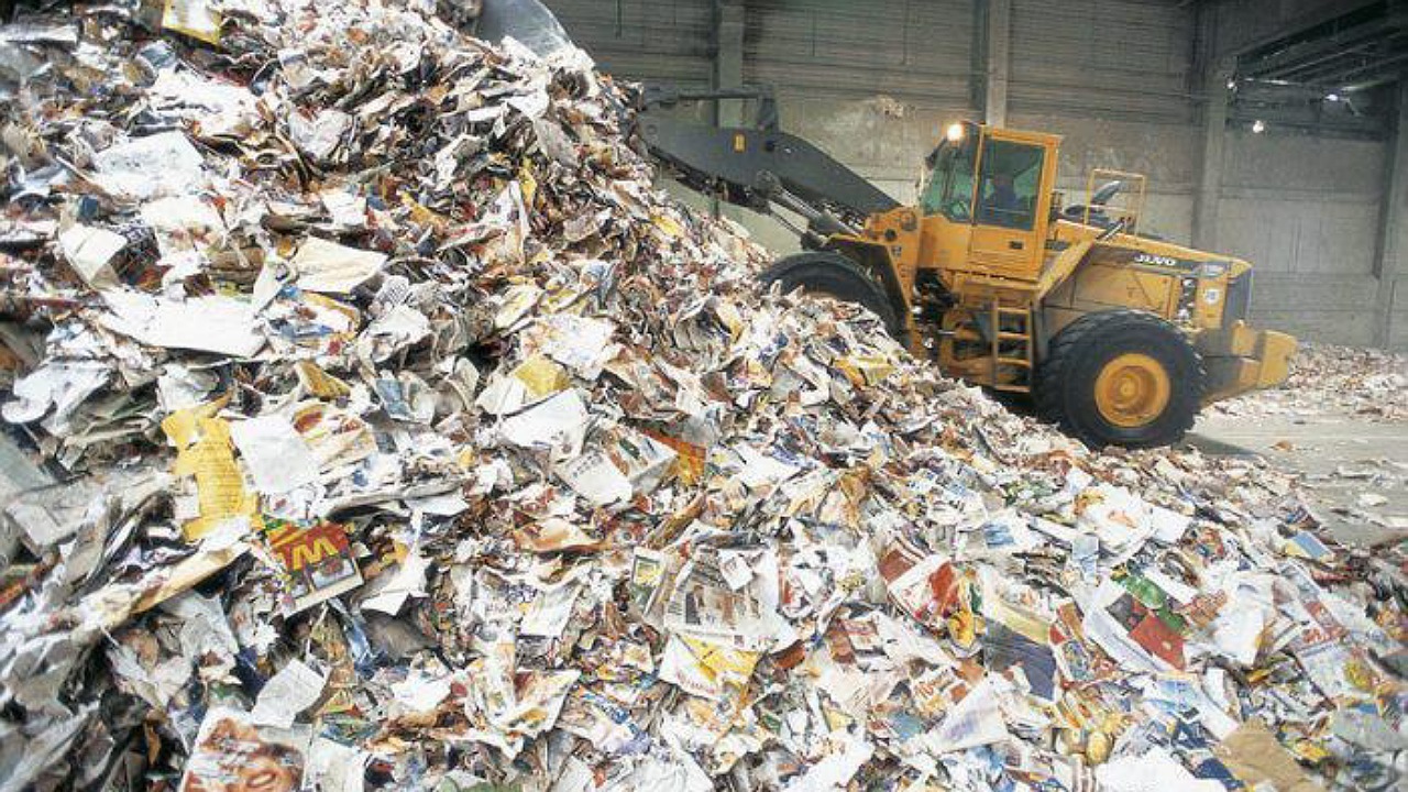 بازیافت کاغذ جلوی قطع درختان را می‌گیرد/ هزینه بازیافت کمتر از تولید کاغذ نو است