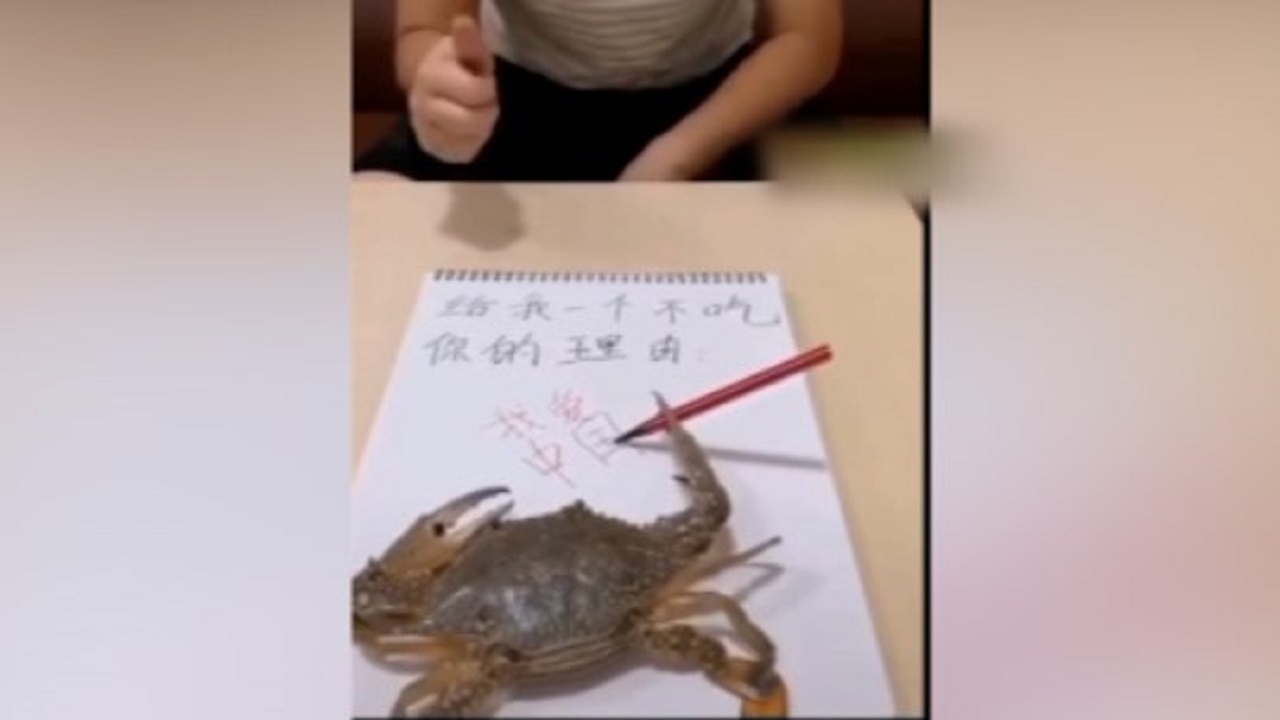 ویدئویی از دست خط یک خرچنگ