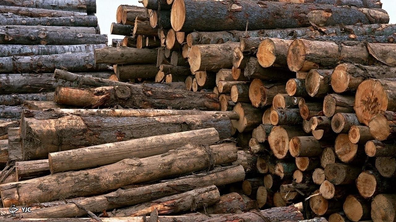 ۱۱۰ تن چوب قاچاق در مهاباد کشف و ضبط شد