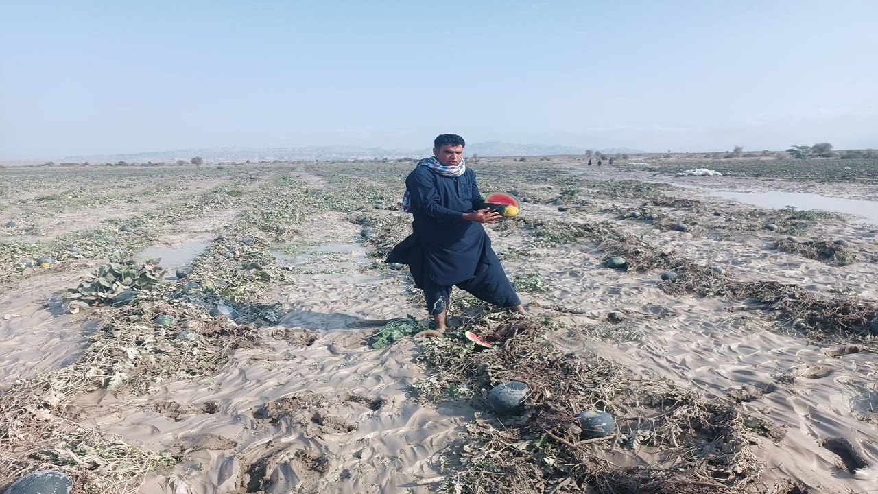 سیلاب هفت هزار میلیارد ریال به بخش کشاورزی سیستان و بلوچستان خسارت زد