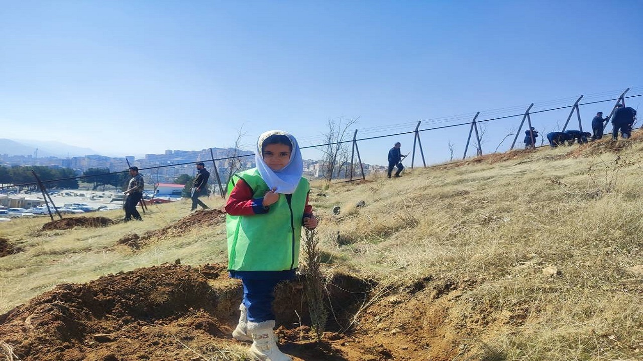 امر حسنه درخت کاری در استان کردستان