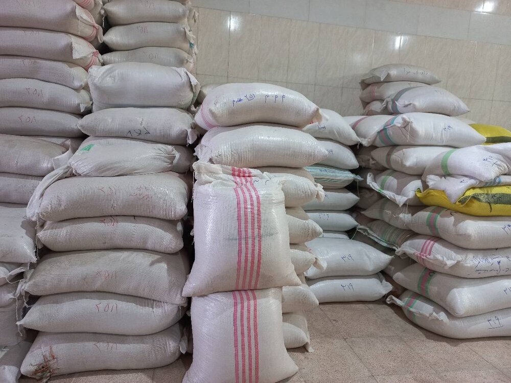 خرید ۳۵۰ تن برنج مازاد کشاورزان گیلانی