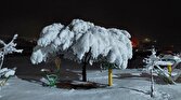 باشگاه خبرنگاران -رخ نمایی فصل زمستان در پارک پرلوک همدان + تصاویر