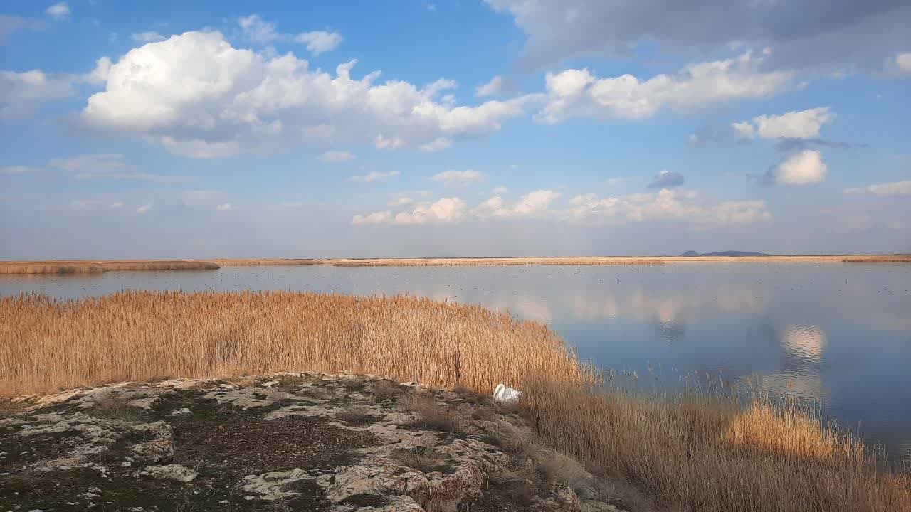 تالاب های آذربایجان غربی، میزبان مسافران نوروزی