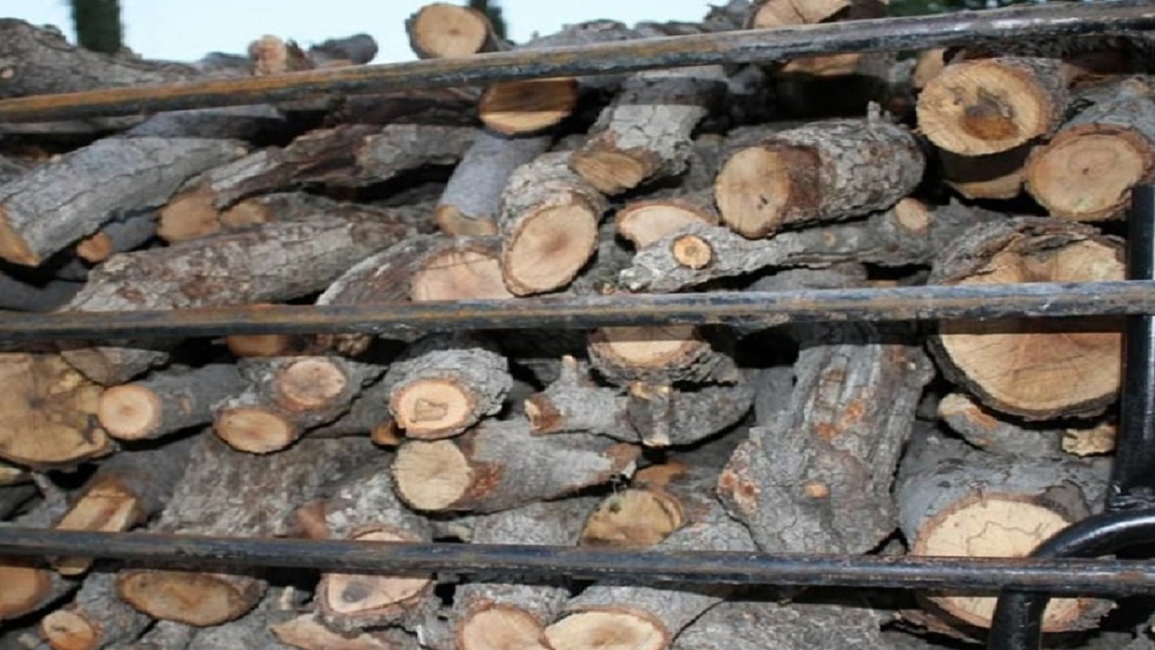 ١٠۶ تن چوب و زغال قاچاق در اصفهان کشف شد