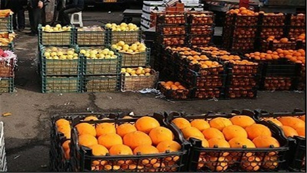 توزیع میوه عید از فردا در قزوین