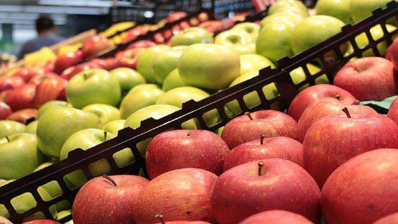 تامین ۷۰ درصد میوه سیب شب عید از باغات