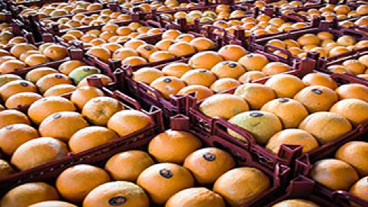 توزیع میوه شب عید در استان فارس آغاز شد