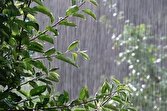 باشگاه خبرنگاران -هشدار مدیریت بحران نسبت به بارش شدید باران و تگرگ در خوزستان
