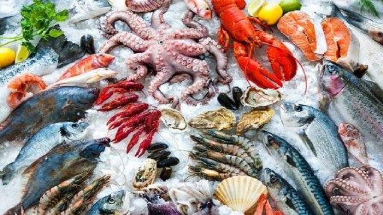 حلال و و حرام غذا‌های دریایی را چگونه تشخیص دهیم؟ + فیلم