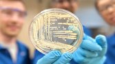 باشگاه خبرنگاران -توسعه مولکول‌هایی از آنتی‌بیوتیک‌ها که می‌توانند بر باکتری‌های مقاوم به دارو غلبه کنند