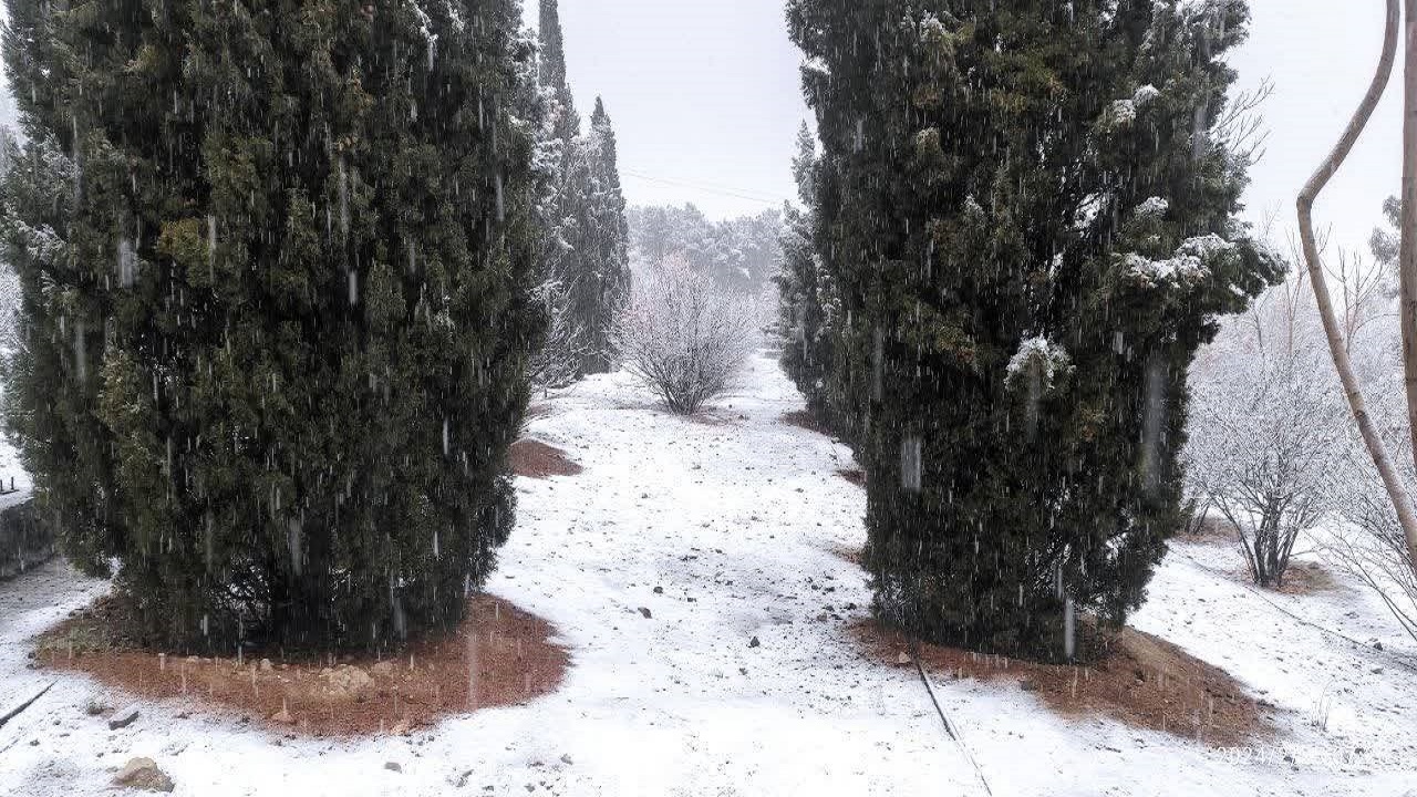 بارش برف کوه صفه اصفهان را سفیدپوش کرد + فیلم و تصاویر