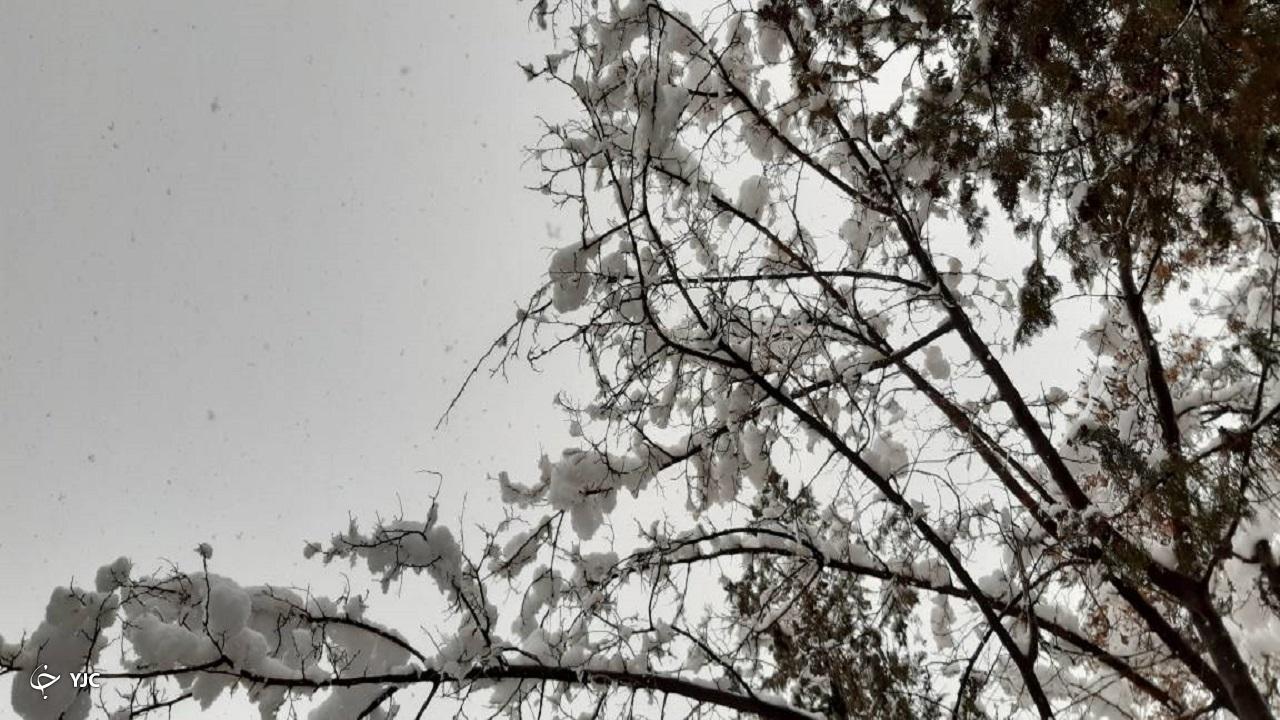 بارش برف در نقاط مختلف استان چهارمحال و بختیاری + تصاویر