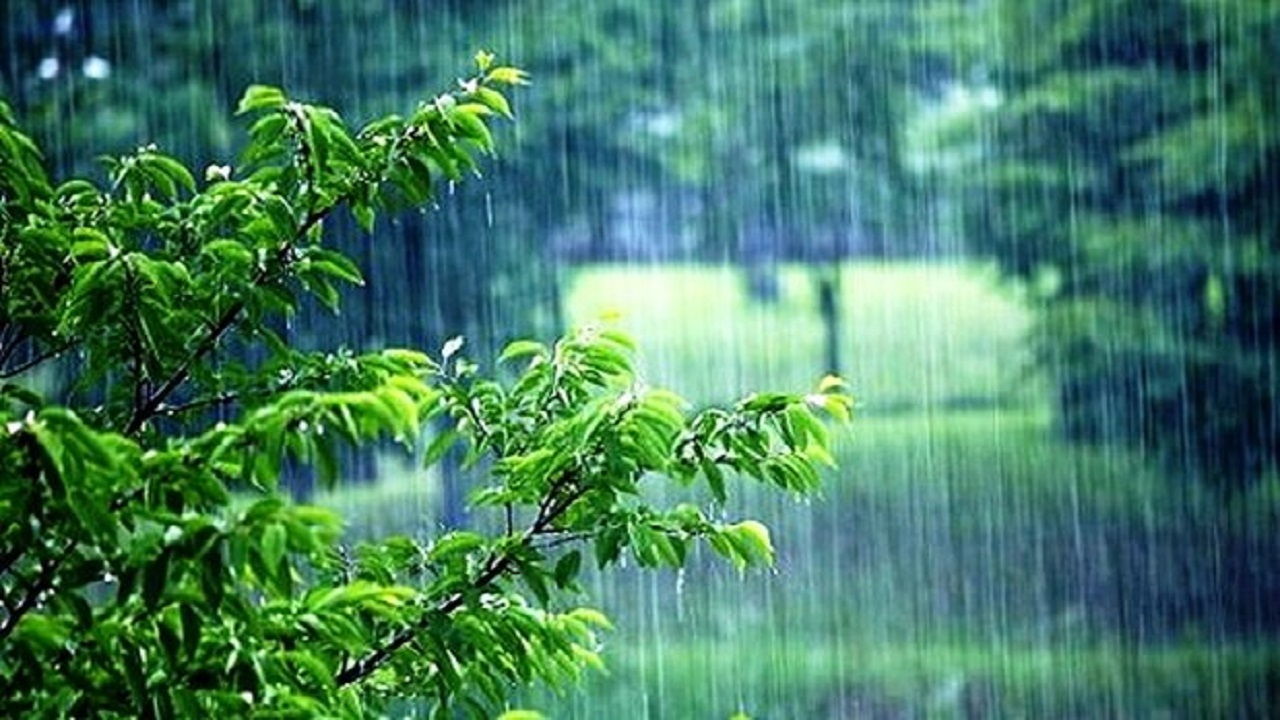 طراوت هوای آران و بیدگل با بارش باران + فیلم