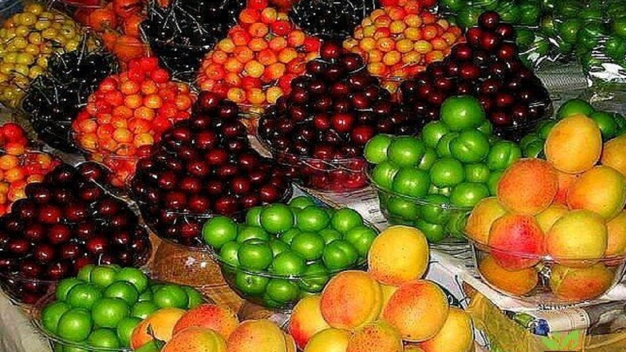 قیمت میوه از 10 خرداد ارزان می شود