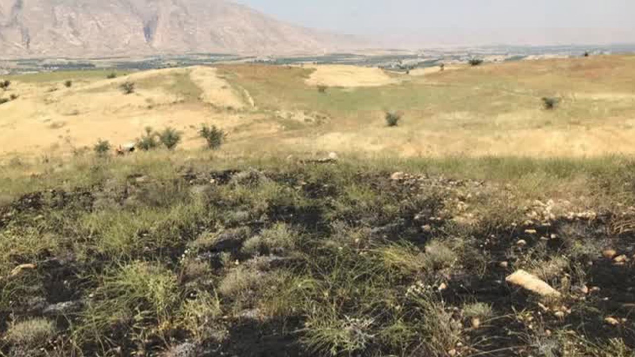 زنگ هشدار آتش سوزی‌های فصل گرما به صدا درآمد/ ۵ مورد آتش‌سوزی در مراتع کازرون