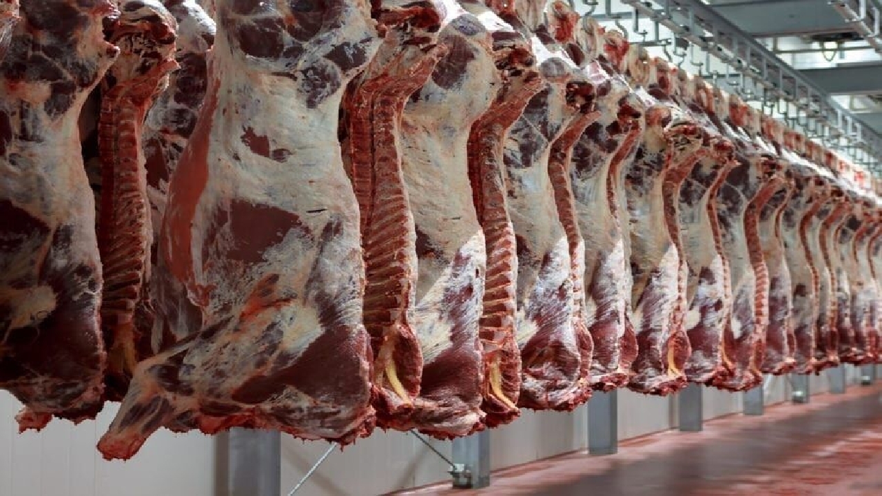 خراسان رضوی رتبه نخست کشور در تولید گوشت قرمز
