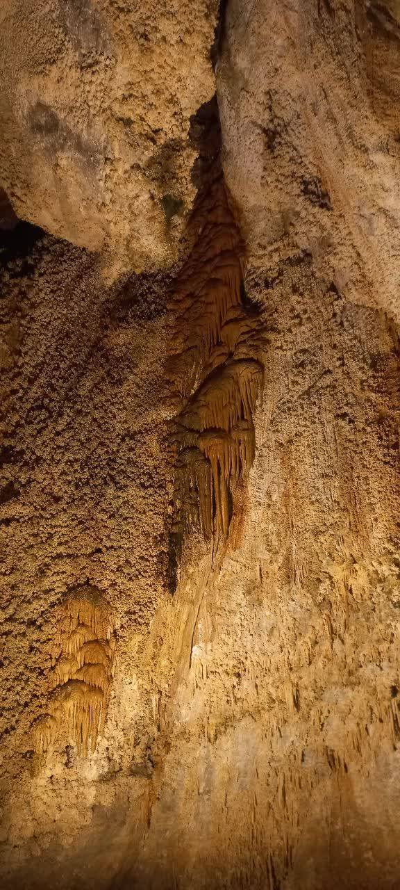 دیواره غار