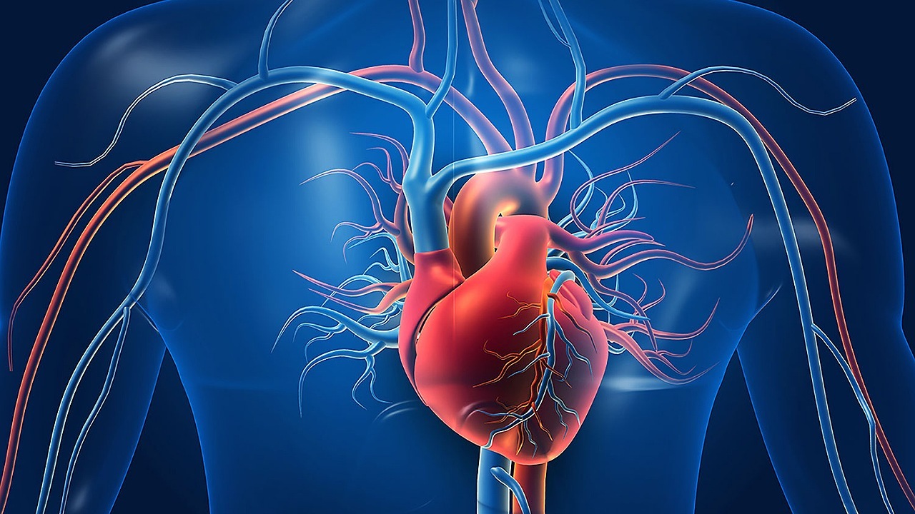 طراحی قلب با سیستم عروقی برای اولین بار
